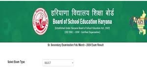 HBSE Class 12th Re-Appear Exam Result 2024